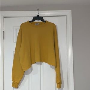 Cropped Champion Pullover